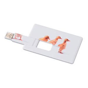 usb stik kort